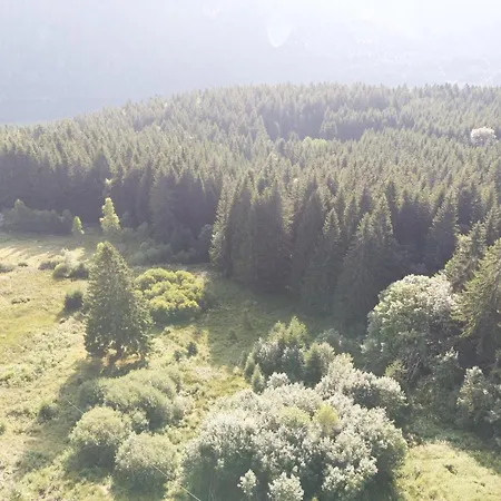 Lejlighed Les Bruyeres